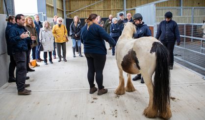 World Horse Welfare opens new facilities at rescue centre